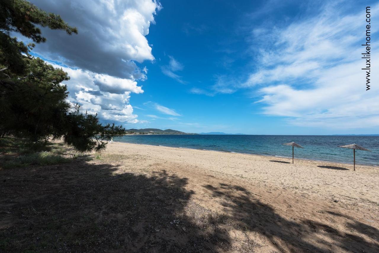 #Luxlikehome - Mediterranee Beachfront Summer House Kalyves Polygyrou Exterior photo
